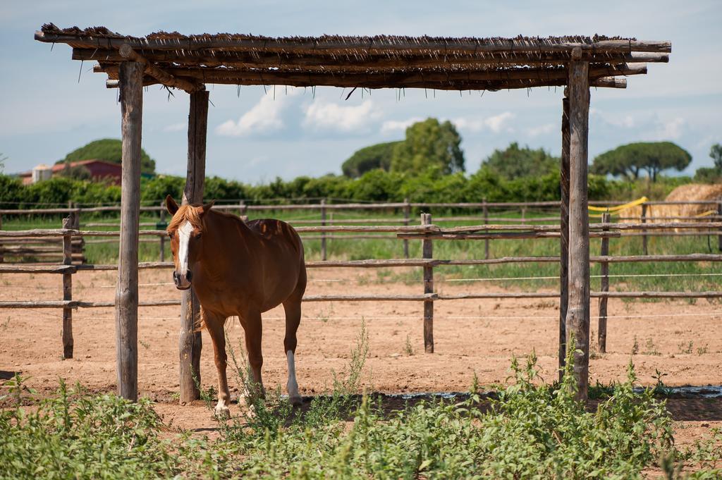 Tenuta Agricola Dell'Uccellina Magliano in Toscana Exterior foto